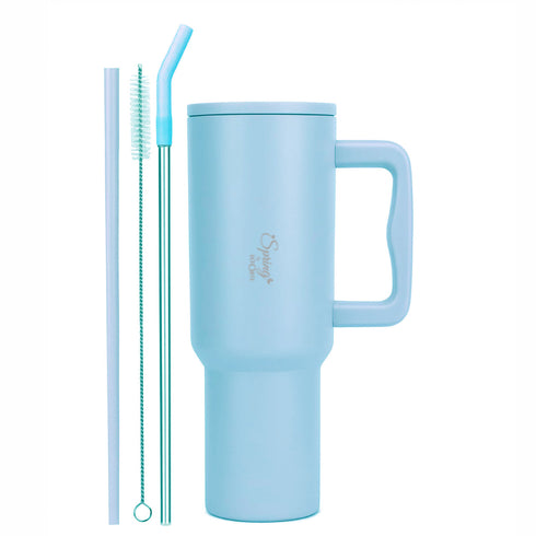 Spring by LA’ FORTE 1200ml Insulated Tumbler with Handle, Lid & Straws