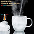 250ml Double-Walled Borosilicate Glass Cups | Transparent Insulated Coffee Mugs for Hot & Cold Beverages (Set of 2)