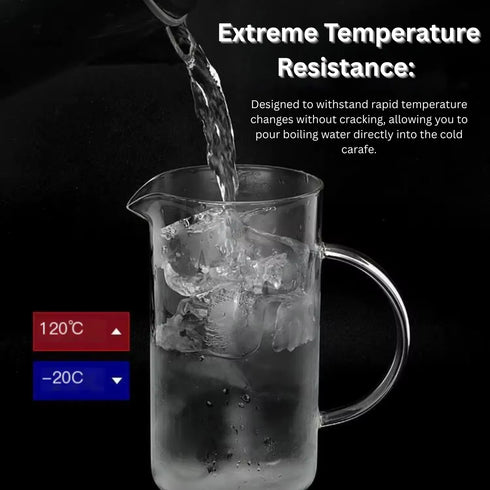 Premium French Press Coffee Maker 600 ml | Borosilicate Glass Coffee & Tea Maker with Bamboo Lid | Stainless Steel Filter | Manual Coffee Brewer for Hot & Cold Brew